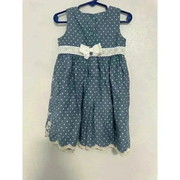 Blueberry boulevard baby girl Embroydery Sleeveless dress size‎ 3T - Picture 6 of 6